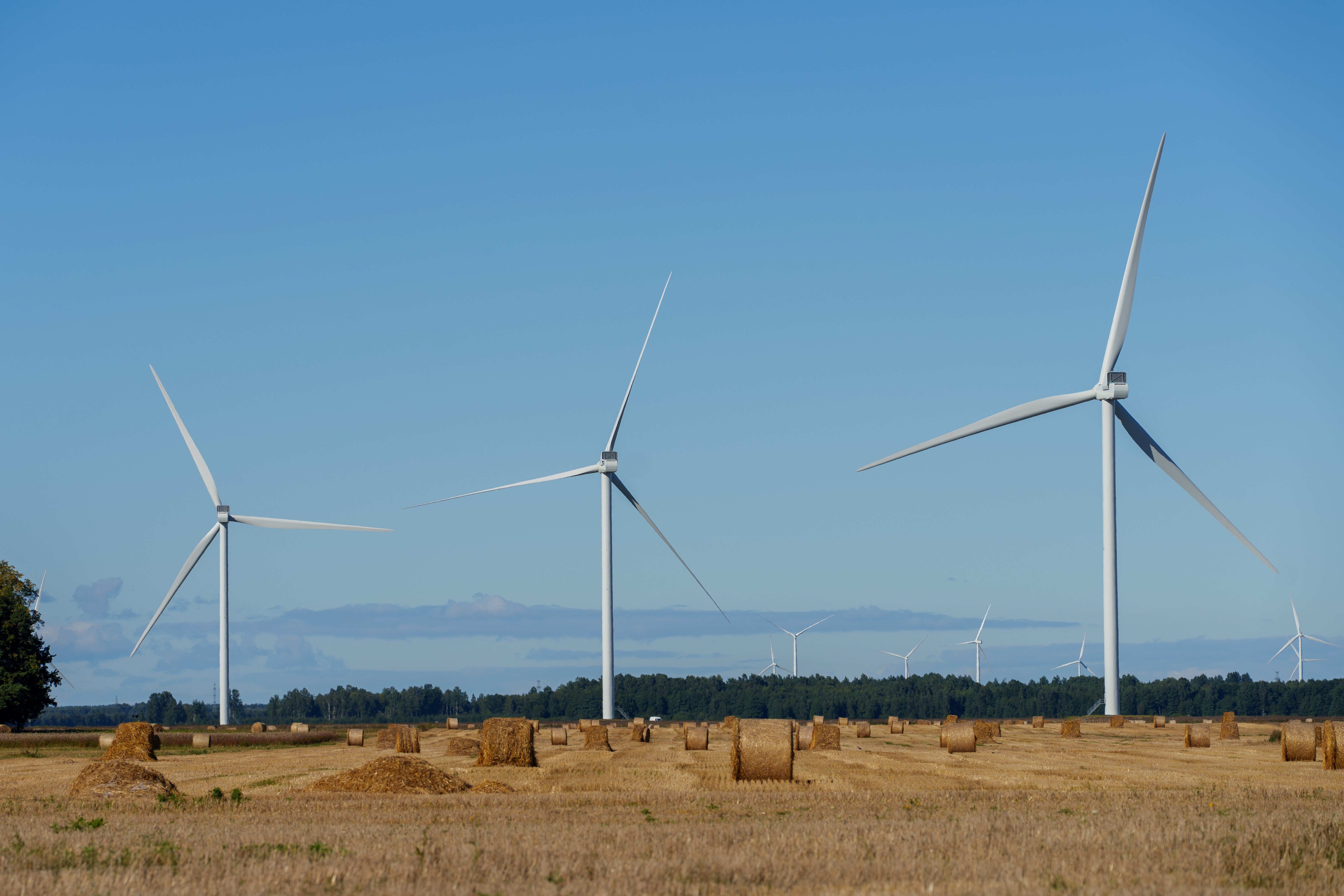 Tārgale onshore wind park inaugurated